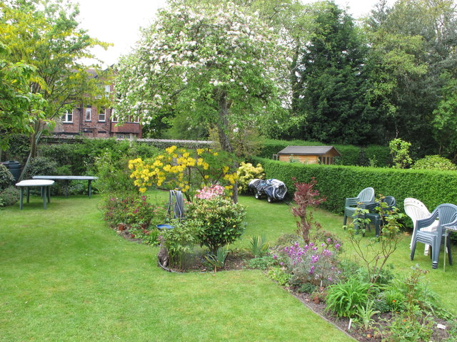 ¿Qué es eso de los ecotipos&nbsp;locales?