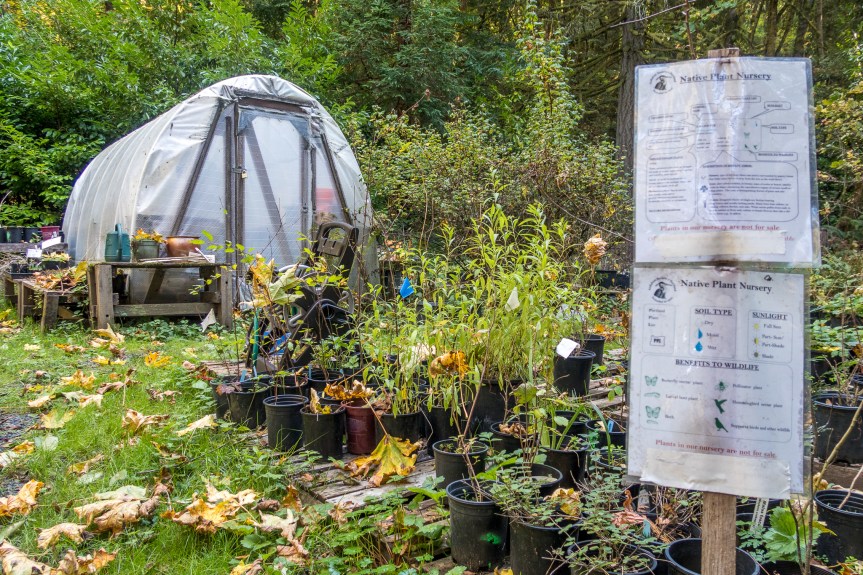 ¿Cómo hacen los polinizadores para encontrar&nbsp;flores?