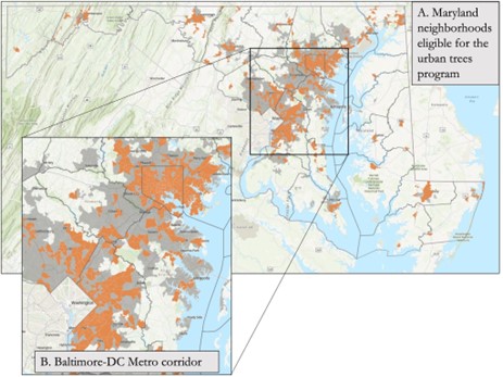 Un nuevo programa financiará la plantación de 500.000 nuevos árboles en zonas urbanas de Maryland. ¡Solicite algunos para su comunidad&nbsp;ya!