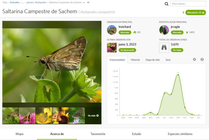 iNaturalist – La red social que nos ayuda a identificar y encontrar especies… ¡y&nbsp;más!