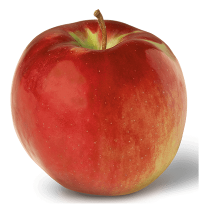 Variedades de manzanas de media estación importantes para la