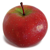 Variedades de manzanas de cosecha tardía importantes para la región del ...