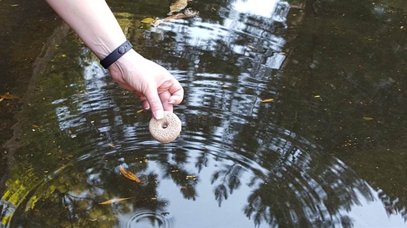 Mano de una persona acercando un flotador de mosquito al agua.