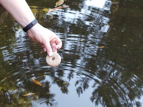 Más allá de los productos químicos convencionales: Pesticidas biológicos y naturales para el control de&nbsp;plagas